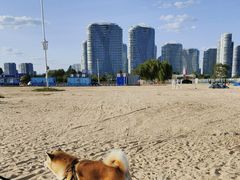 -东戴河风景区-止锚湾