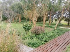 -昆山城市生态森林公园