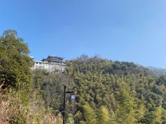 -午潮山国家森林公园