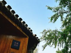 -春风习习