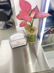 -时尚殿堂hair salon