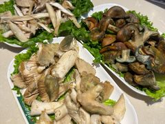 -爱膳菌锅锅(阳南店)