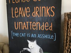-海边的猫和咖啡馆