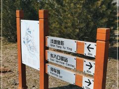 -东郊湿地公园