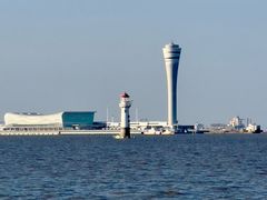 -上海滨江森林公园