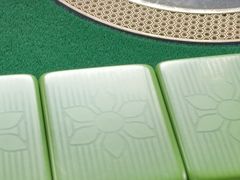 -桃源山庄·摘樱桃·柴火鸡·烧烤团建(龙泉山店)