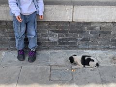 -山西乌金山旅游区