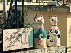 -猫咪博物馆(顶澳仔猫街店)