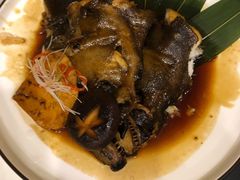 碟鱼头-红叶日本料理(开发区店)