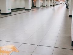 -东方体育中心(地铁站)