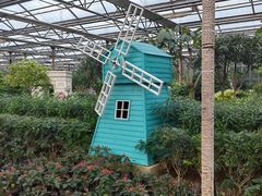 -南宫五洲植物乐园