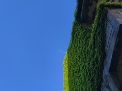 -枸杞岛