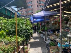 -曲阳花鸟市场(曲阳路店)