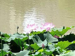 -金山公园
