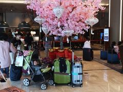 -新加坡瑞士史丹福酒店