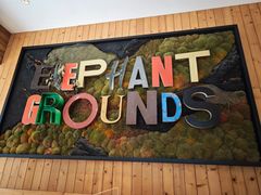 -Elephant Grounds(STARSTREET)