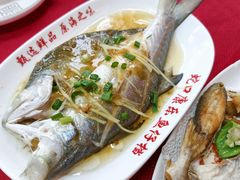 -蛇口康乐快餐鱼仔档(翠苑小区店)