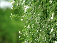 -南门头上美食街