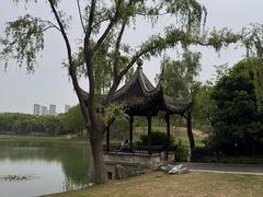 -尚贤河湿地