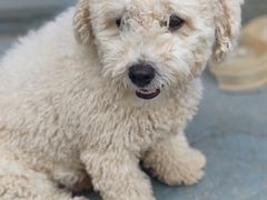 -乡乐园蟹庄·阳澄湖农家乐