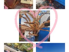 -美国村