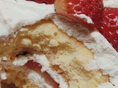 -喜杨洋草莓采摘园