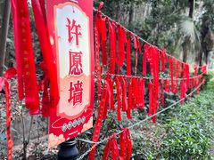 -三水森林公园