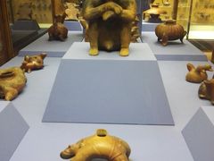 -美国自然历史博物馆