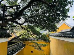 -普陀山慧济禅寺