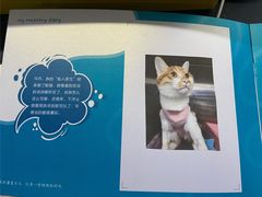-美联众合动物医院·24h转诊中心