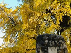 -潭柘寺景区