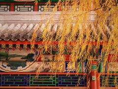 -颐和园