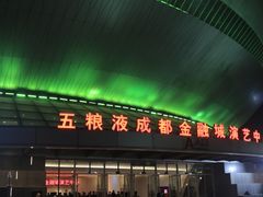 -成都金融城演艺中心