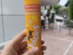 -圣淘沙天际线斜坡滑车