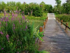 -艾溪湖湿地公园