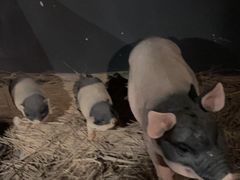 -E+有冰工厂·昆仑寒宫2(五角场店)