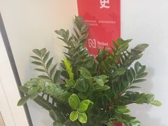 -牙博士口腔品牌连锁(杨浦店)