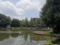 -知美术馆