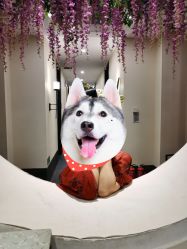 -盘子女人坊古装写真摄影(天津总店)