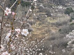 -妙峰山风景名胜区