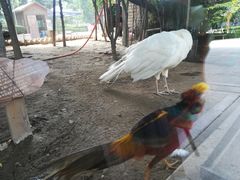 -陕西自然博物馆