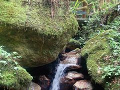 -龙岩森林水乡景区