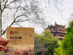 -黄鹤楼公园(黄鹤楼)