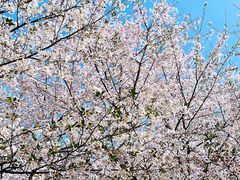 -龙美术馆(西岸馆)