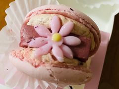 花花半熟马卡龙玫瑰双莓芝士口味-好利来(牡丹园店)