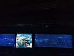 -重庆欢乐海底世界