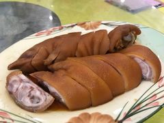 -姚林轩