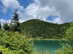 -武陵山森林公园