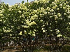 -宜兴龙背山森林公园