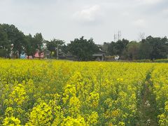 -三圣花乡旅游区